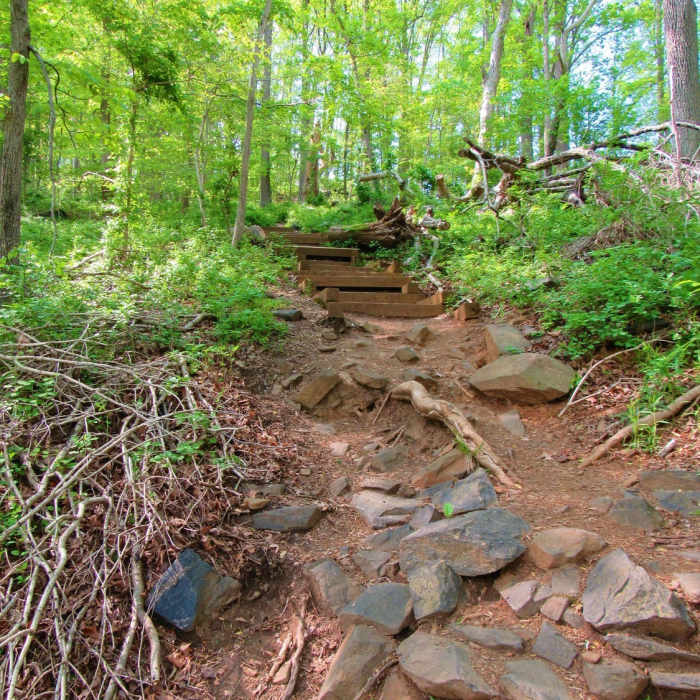 Stairs and rocky descent along Union Dam Trail Near Union Dam Trail