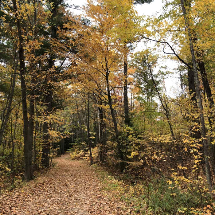 Near Tower Hill Pond Loop Trail