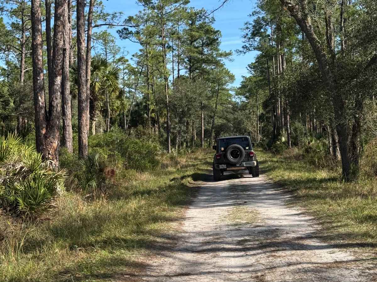 Long Bluff Road photo 4