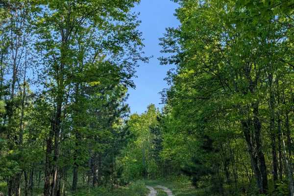 Seven Point Trail