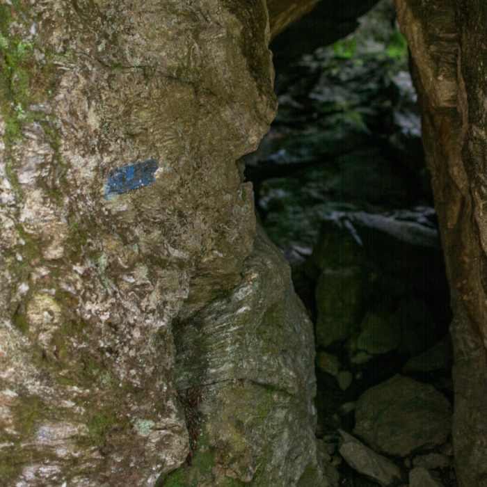 Near Theron Dean Shelter via the Long Trail