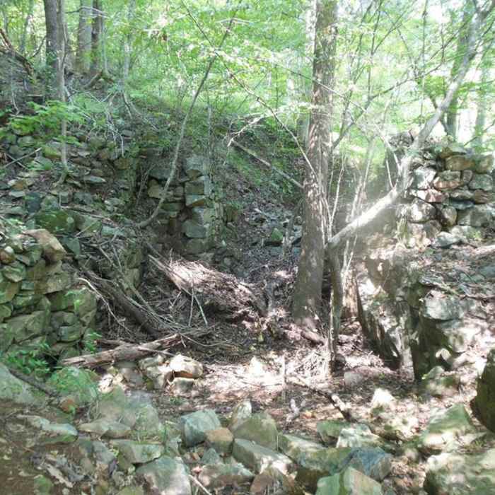 Near Cox Mountain Trail