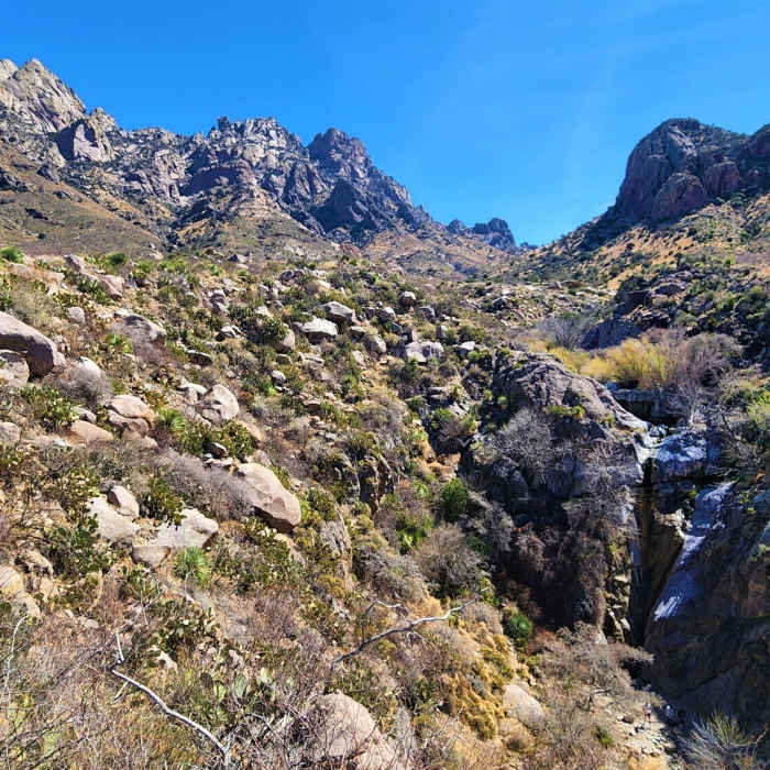 Near Organ Needle Trail
