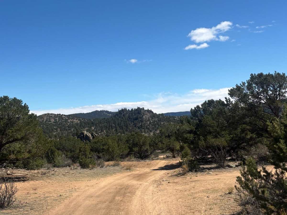 Fourmile Creek Cutoff photo 3