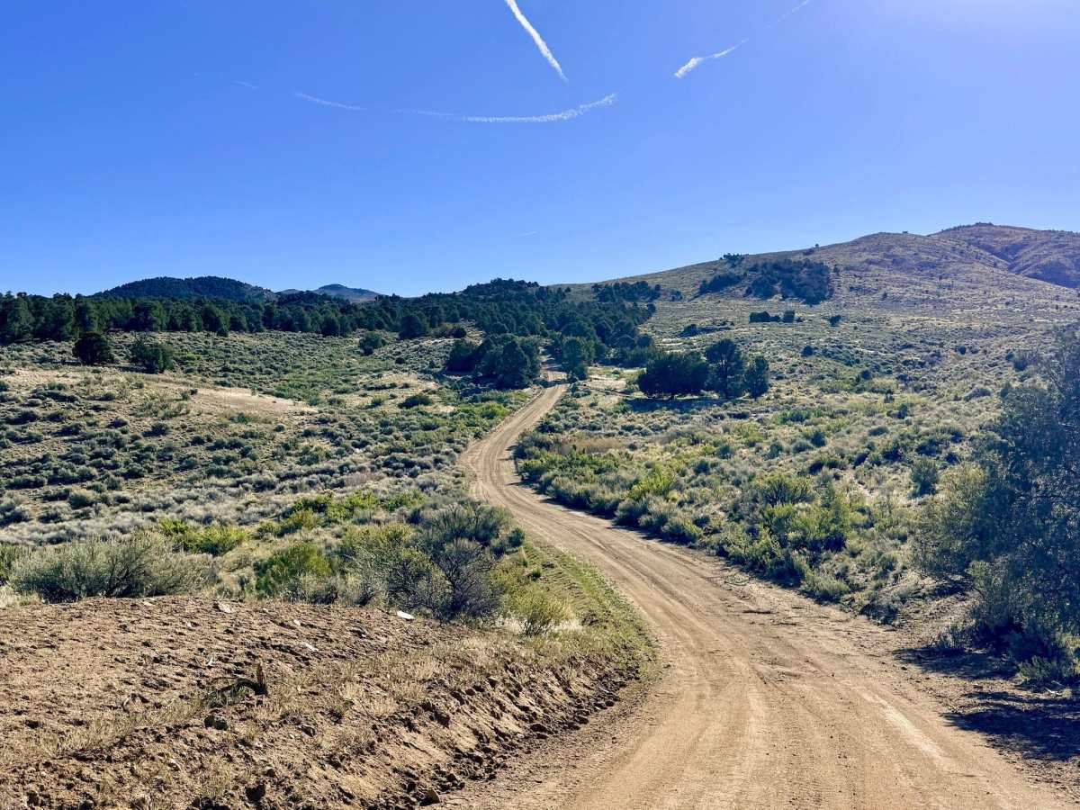 Crow Canyon - FS 43242 trail photo
