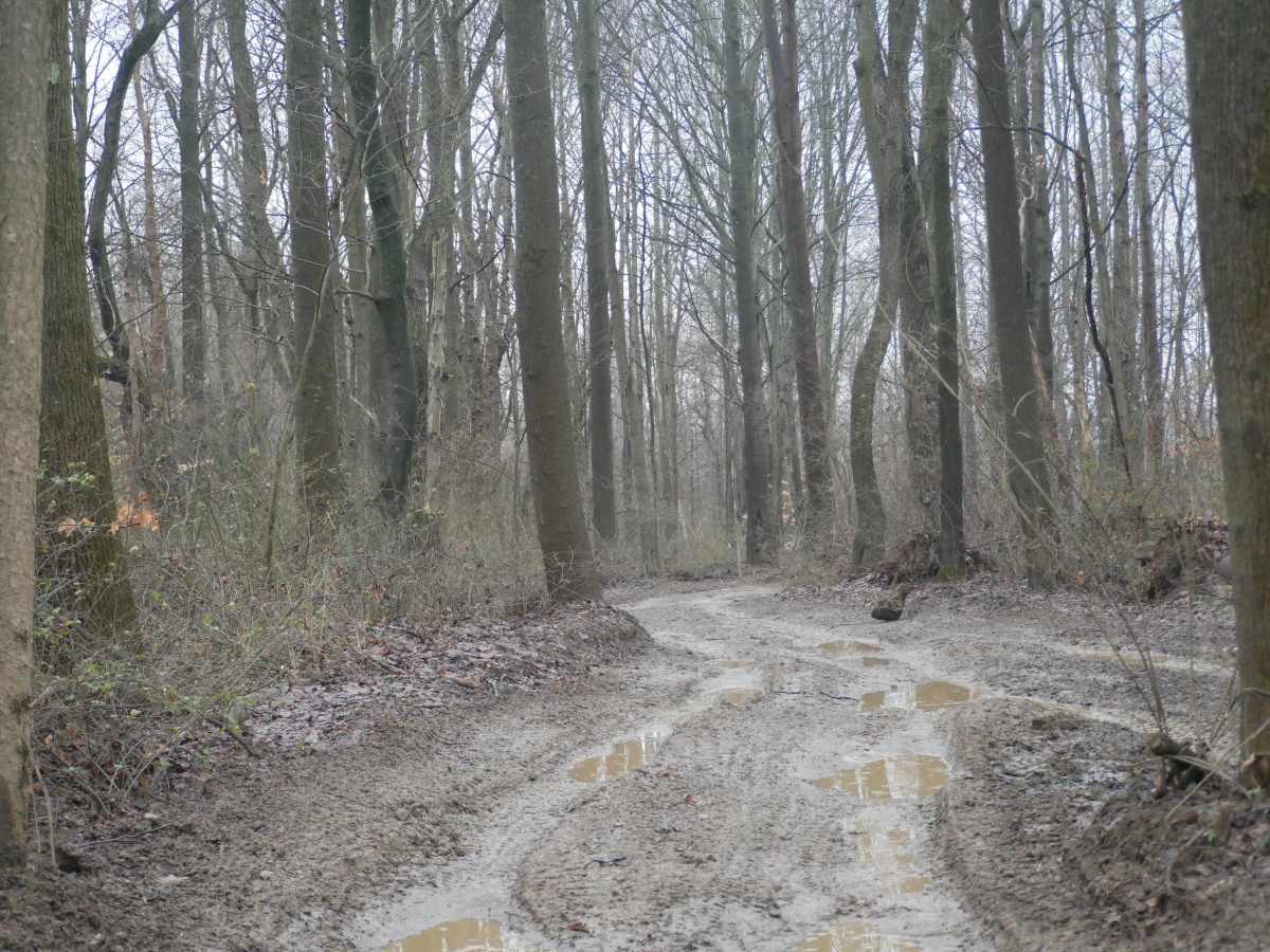 Trail 18 photo 6