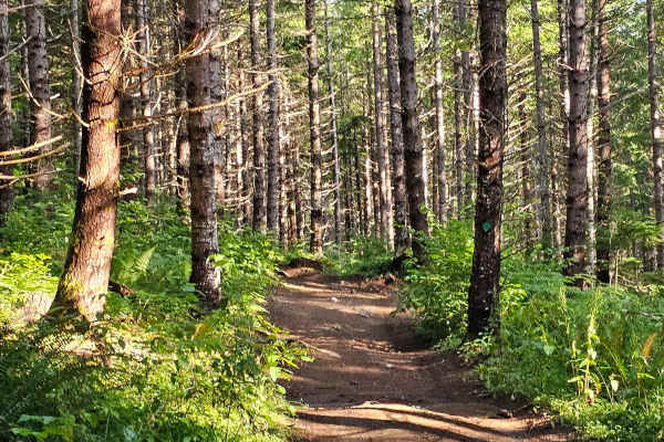 Inner Alder loop