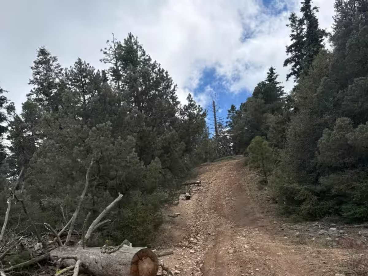 FS 22W12 trail photo
