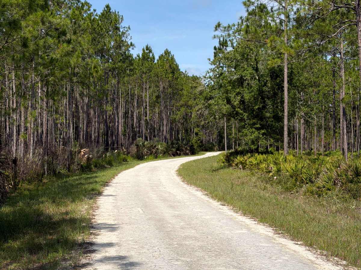 Bluffton Road trail photo