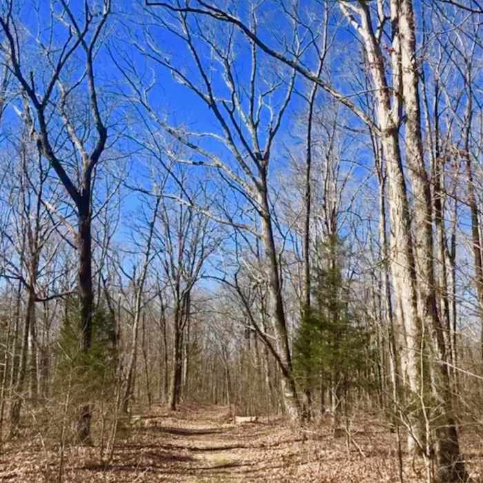 Bear Creek Loop Trail Near Bear Creek Loop