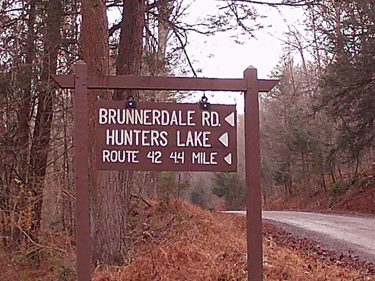 Brunnerdale Road trail photo
