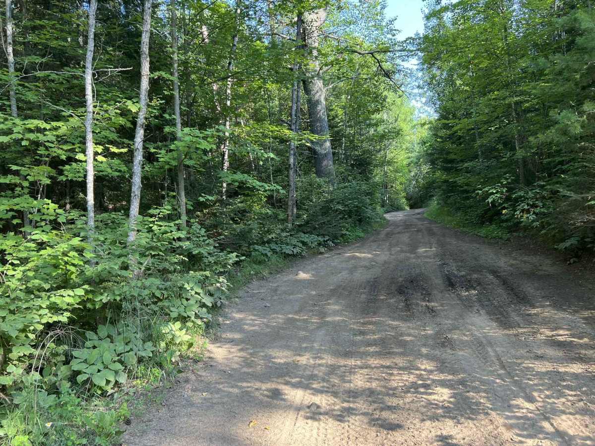 Carney Lake Road trail photo