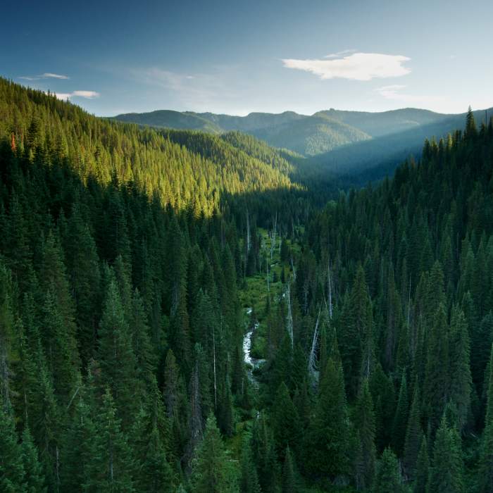 Near Trail of the Hiawatha