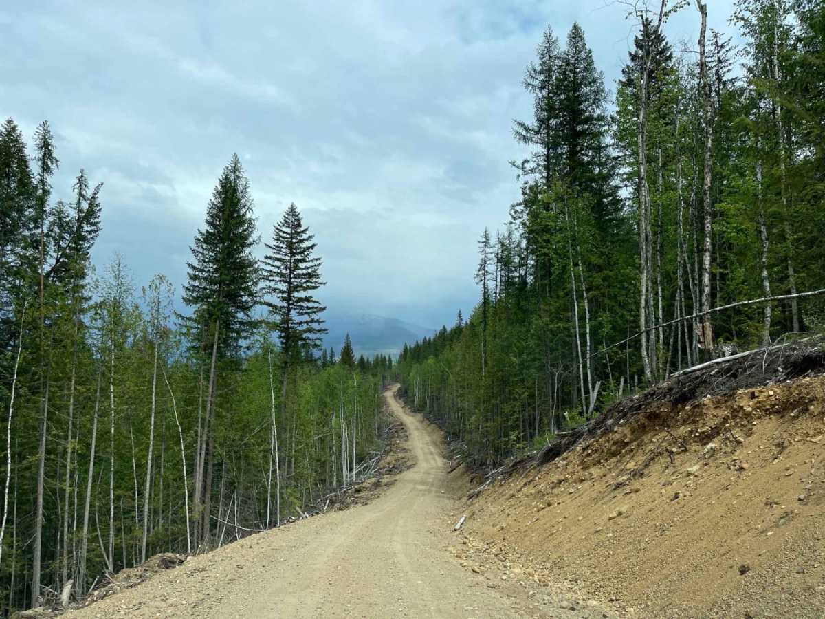 Maks Road photo 4