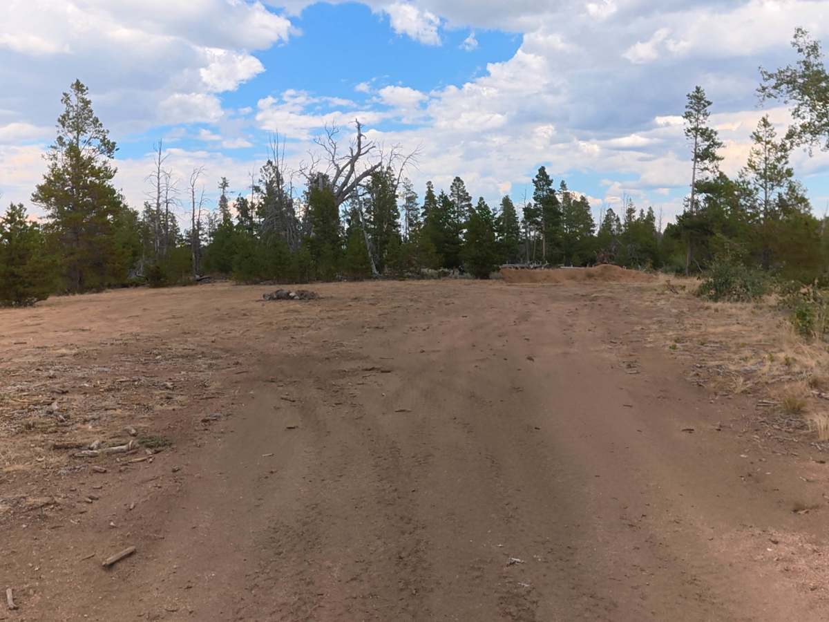 FS 516D trail photo