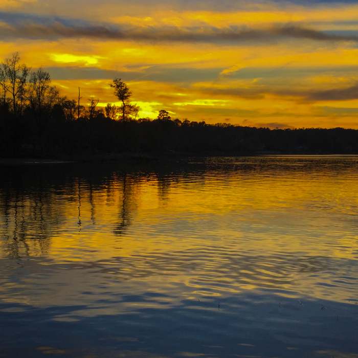 Last light on Seven Oaks. Near Seven Oaks Preserve Trail