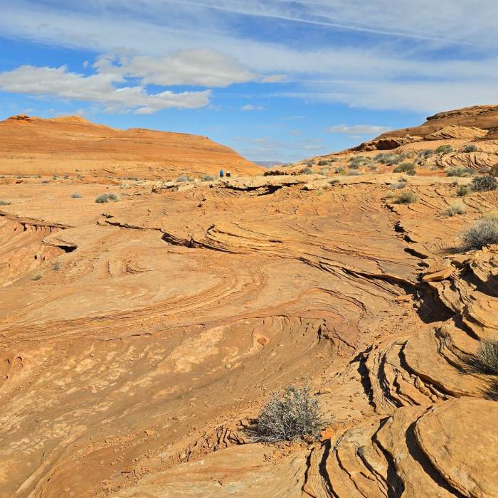 Near Hanging Gardens