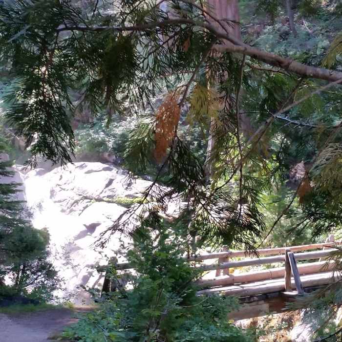 Near Atwell-Hockett Trail