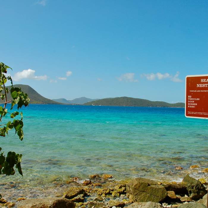 Near Leinster Bay Trail