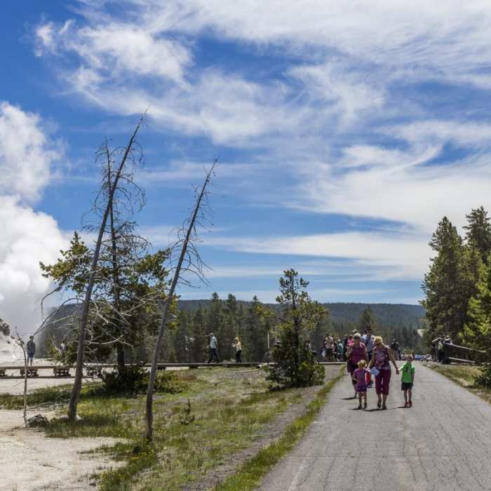 Near Upper Geyser Basin Trail Near Upper Geyser Basin Trail