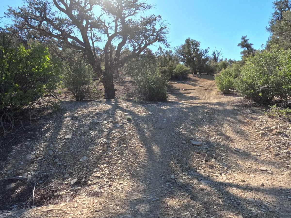 Lower Loop - BLM 73M trail photo