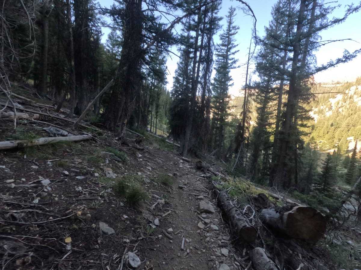 North Fork Ross Fork - FS 7226 photo 6