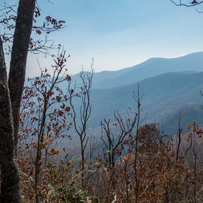 Near Appalachian Trail: Burningtown Gap to Winding Stair Gap