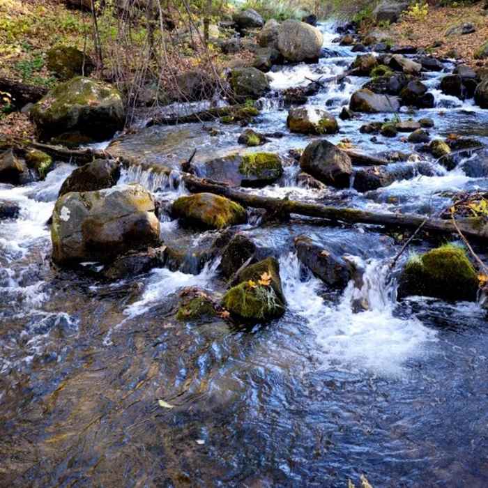 A cascade near the trail. Near River View Trail (Osceola Loop)