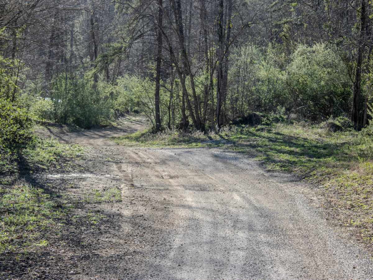 Montgomery Road photo 2