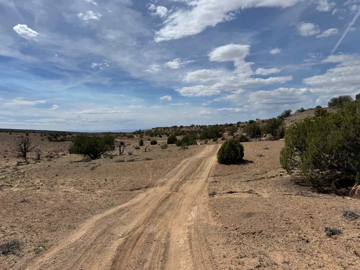County Road 3417 photo 3
