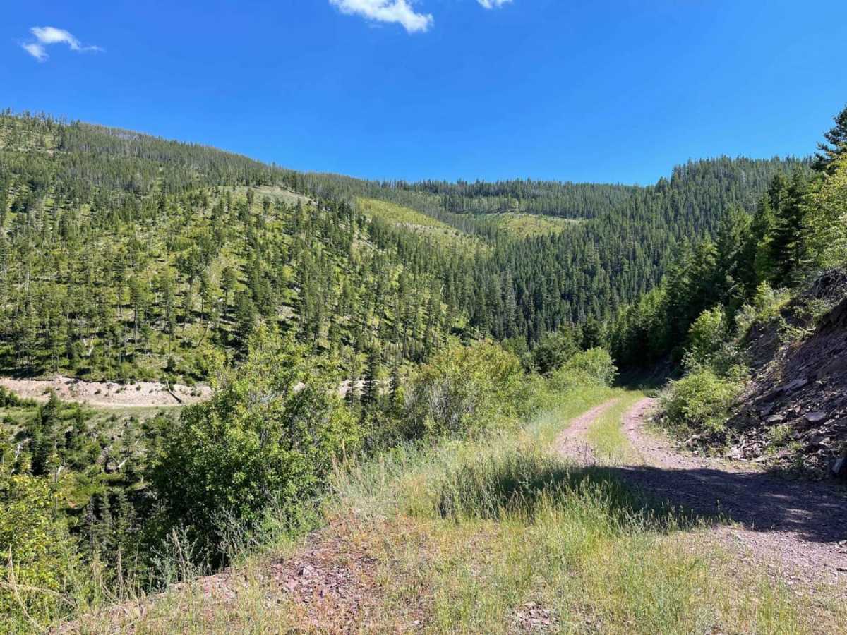 West Greenough trail photo