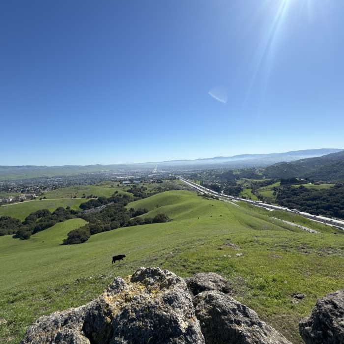 Near Calaveras Ridge Regional Trail