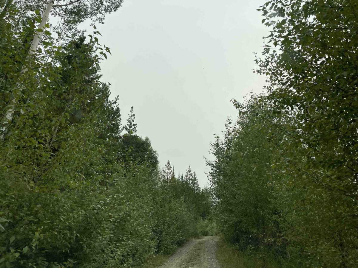 Eureka Road photo 6
