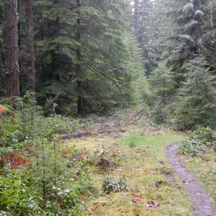 Near Eula Ridge Hike