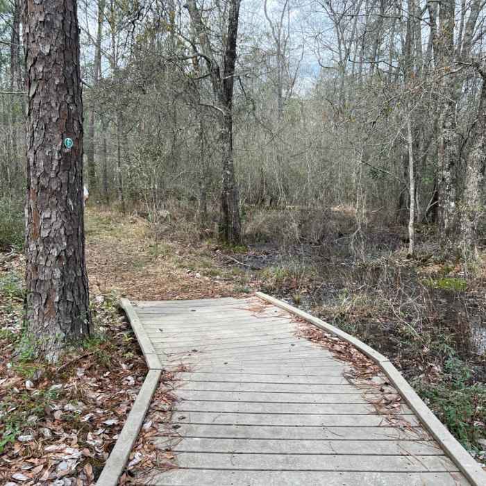 Near Pitcher Plant Trail