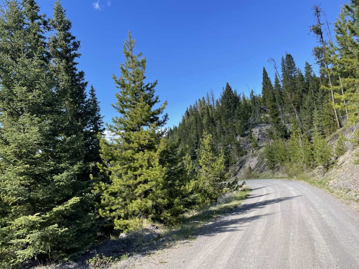 Greenstone Mtn Lookout to Tunkwa Lake Rd trail photo