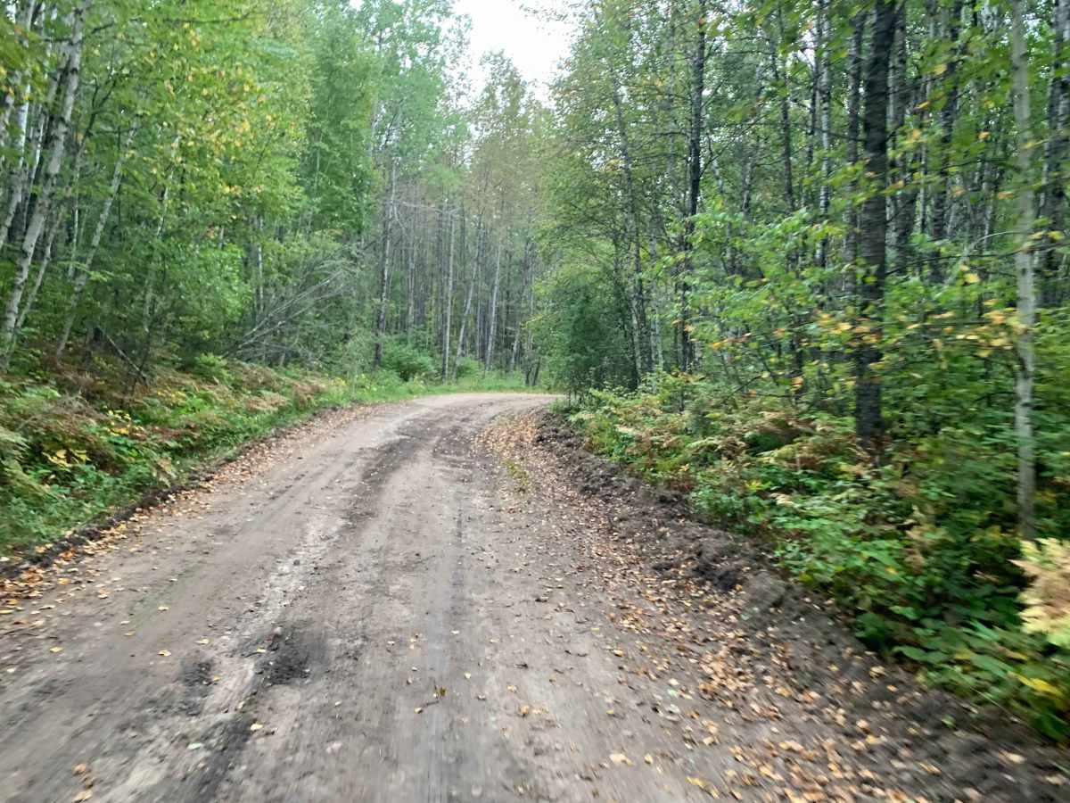FR 612A trail photo