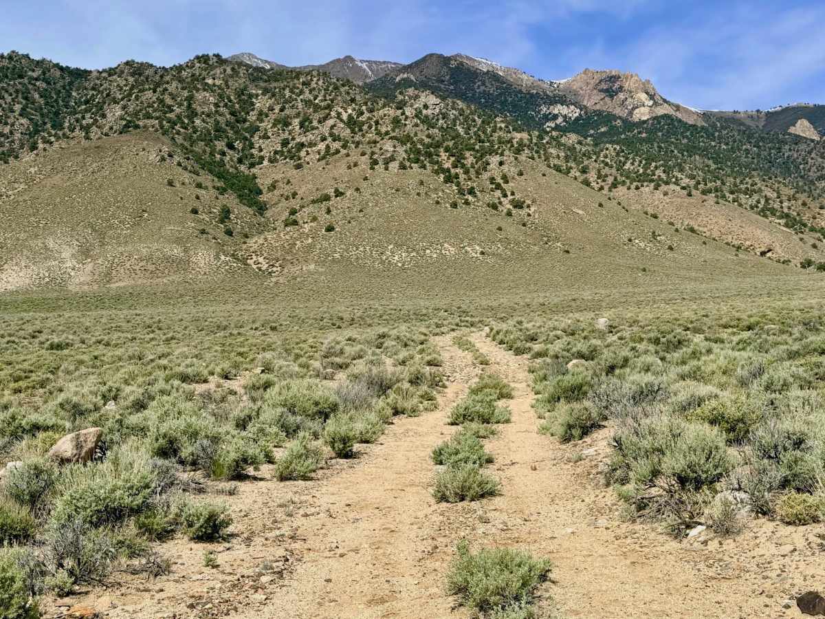Tamblin Creek Loop - FS 43342 trail photo