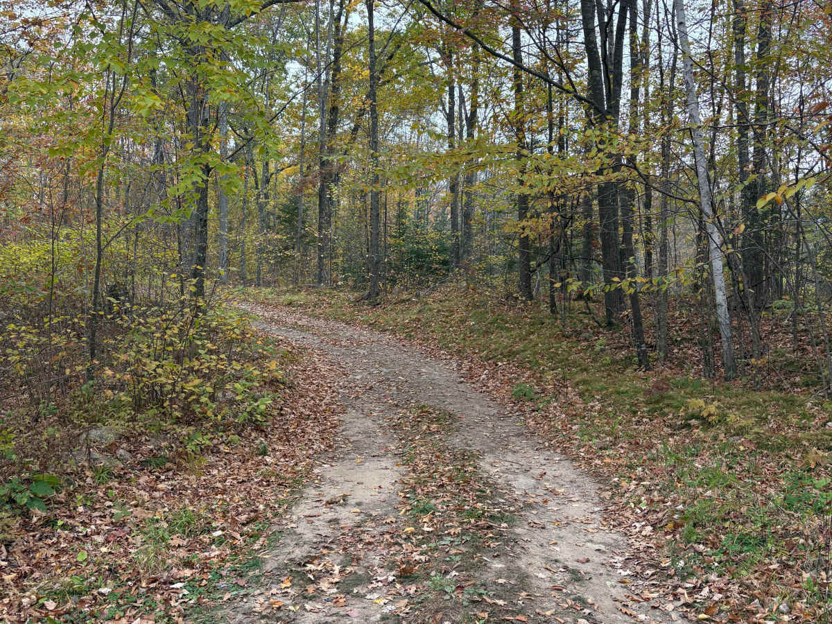 Porkey Lake Loop photo 4