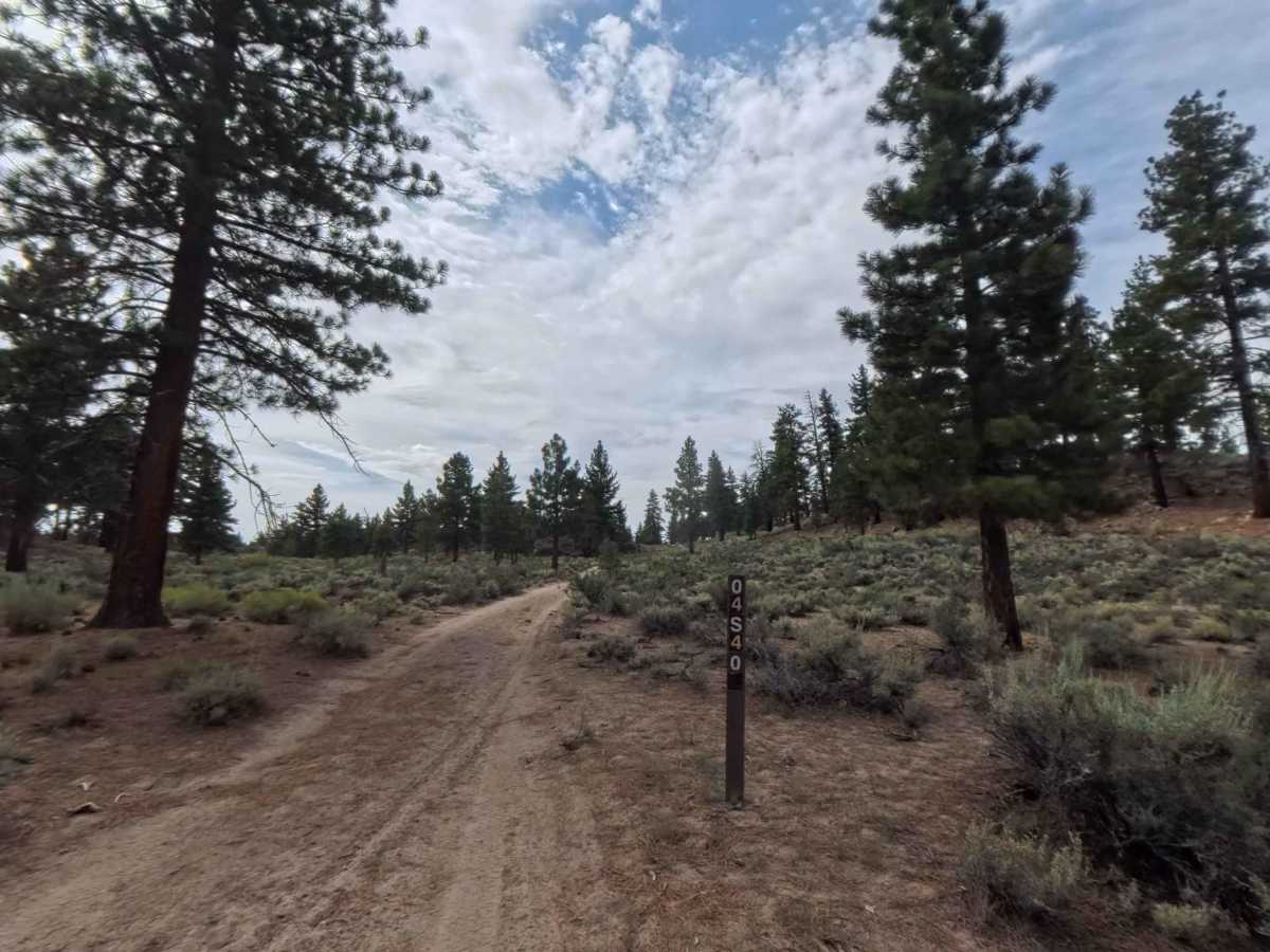 FS 04S40L trail photo