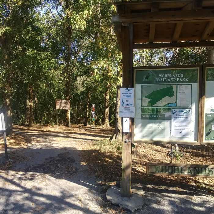 Near Upland Trail