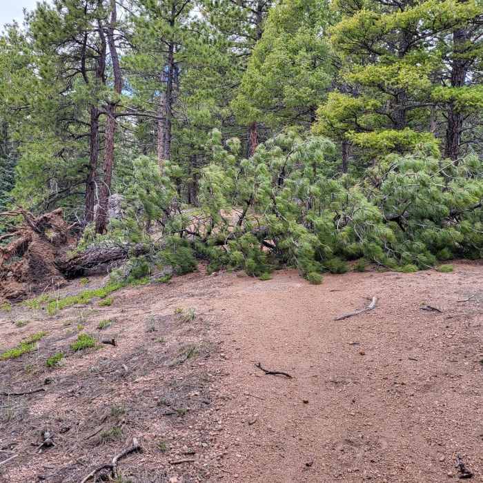 Near Second Mace Spur #1322.A