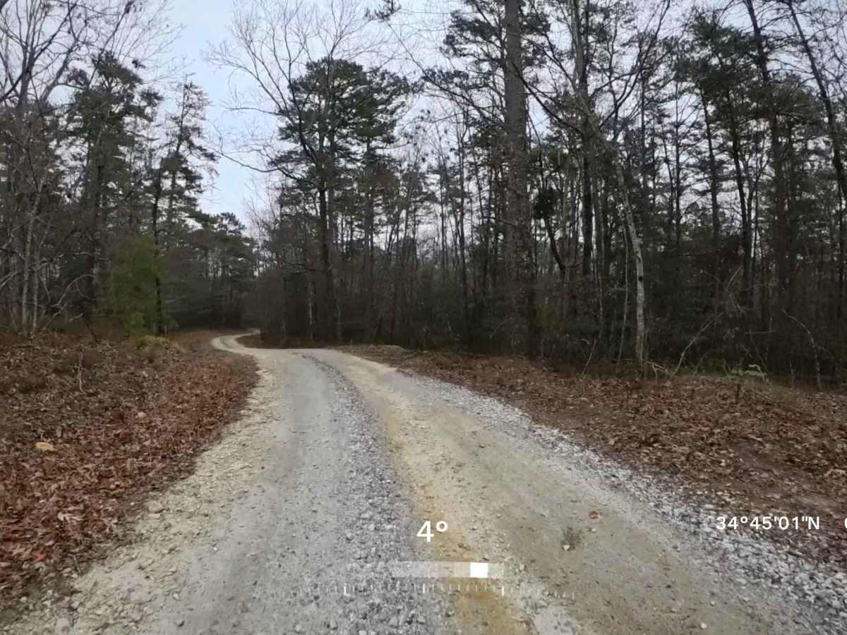 Stoneplace Road - FS 516 photo 3