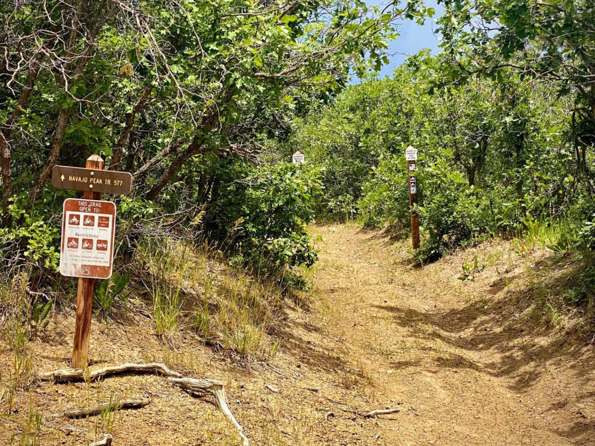 Buckles Lake Road - FS 663 photo 6