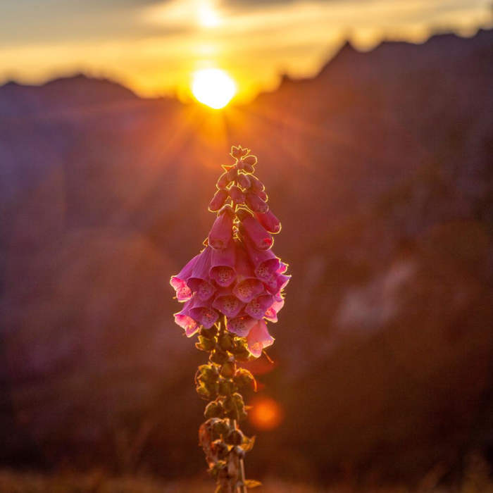 Near Mount Margaret via South Coldwater Trail