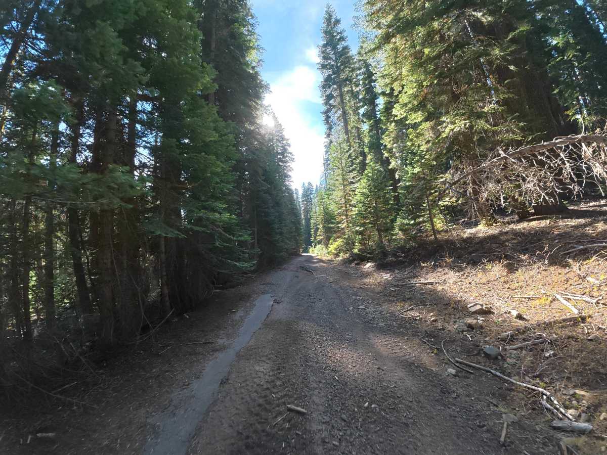 Big Rattlesnake Creek photo 3