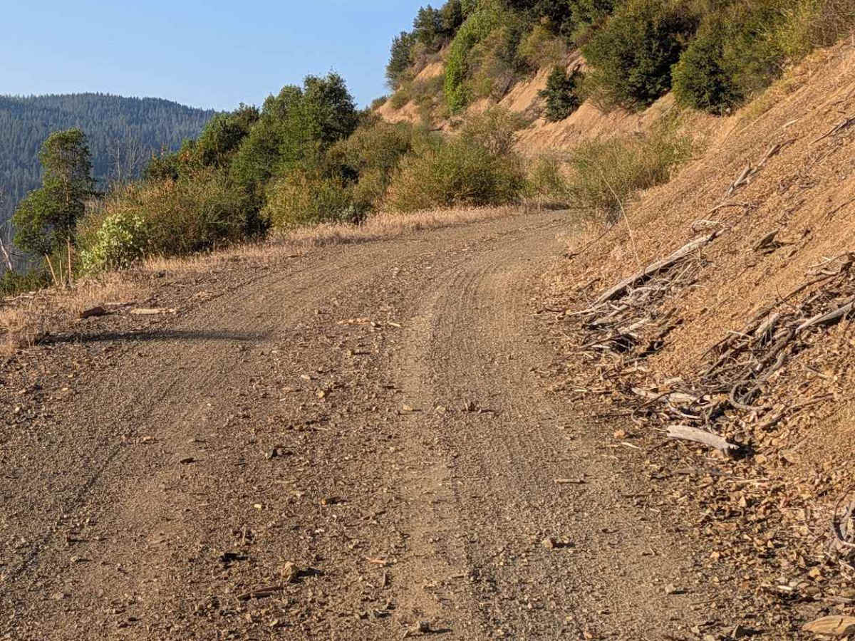 Plummer Peak Road - FS 30N31  photo 6