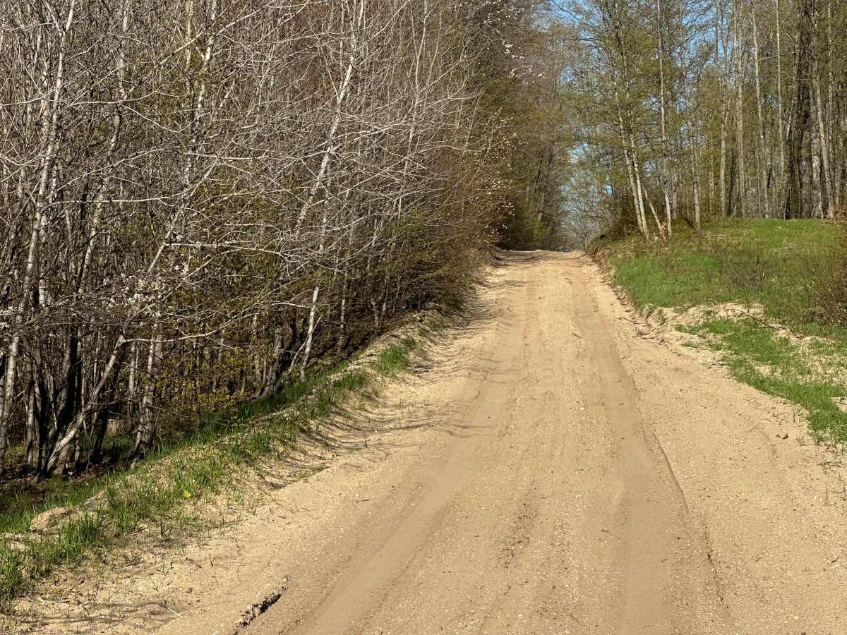 Papoose Lake Road photo 5