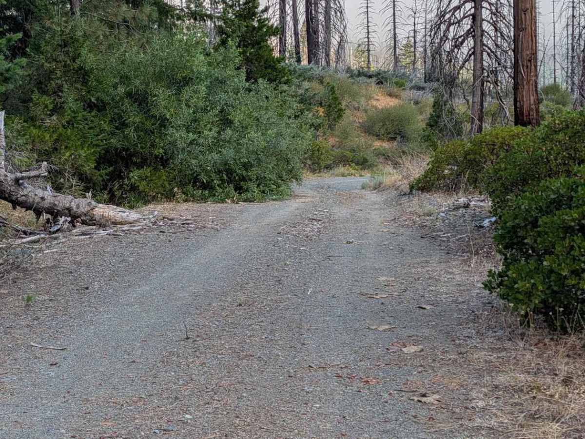 Dubakella Mountain Road - FS 30N27 photo 3