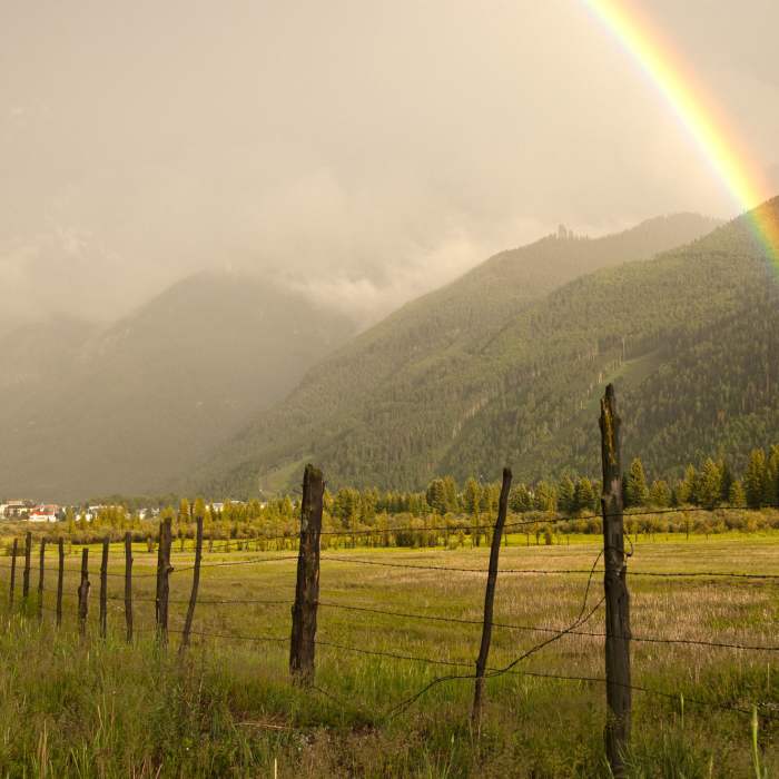 Near Telluride Bike Path